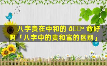 八字贵在中和的 🐺 命好吗「八字中的贵和富的区别」